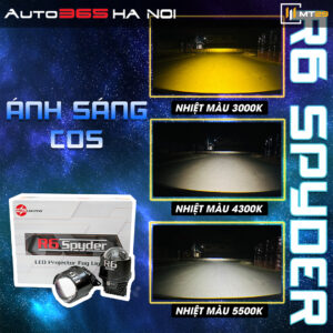 Bi Gầm R6 Spyder 9 5 3