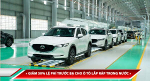 giam le phi truoc ba cho o to lap rap trong nuoc